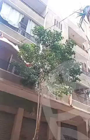 https://aqarmap.com.eg/en/listing/6998226-for-sale-cairo-el-omraneya-l-mrny-lgrby