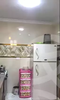 https://aqarmap.com.eg/en/listing/7003831-for-sale-cairo-ain-shams-ahmed-esmat-st