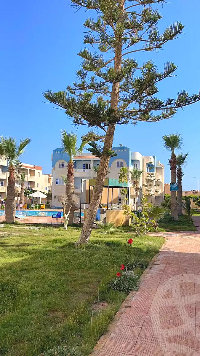 https://aqarmap.com.eg/ar/listing/7004693-for-rent-marsa-matruh-marsa-matrouh-city-agiba-el-abyad-rd