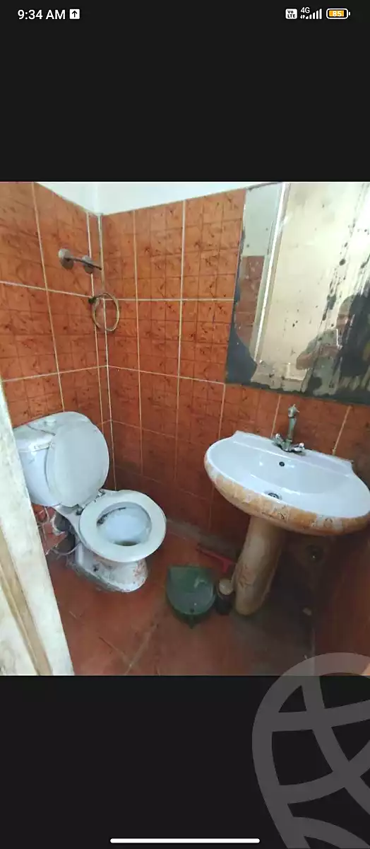 https://aqarmap.com.eg/en/listing/7006090-for-rent-cairo-el-haram-shareaa-el-haram