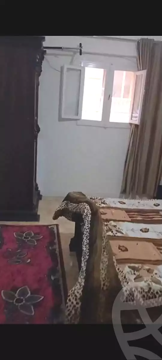 https://aqarmap.com.eg/en/listing/7008752-for-sale-alexandria-smouha-el-nasr-st