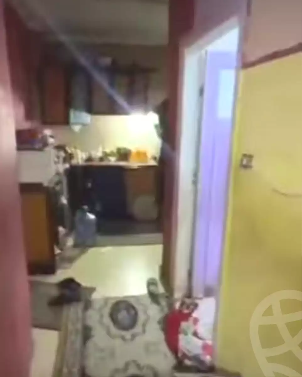 https://aqarmap.com.eg/en/listing/7009383-for-sale-cairo-ain-shams-mnshy-lthryr