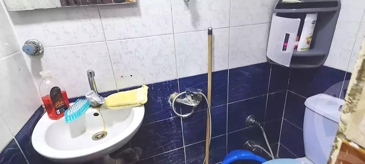 https://aqarmap.com.eg/en/listing/7009415-for-sale-alexandria-lsywf-gamila-abu-herid-st