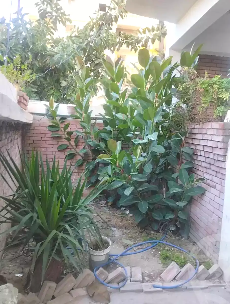 https://aqarmap.com.eg/ar/listing/7010846-for-sale-alexandria-al-agamy-el-hanouvel-al-asdakaa-st