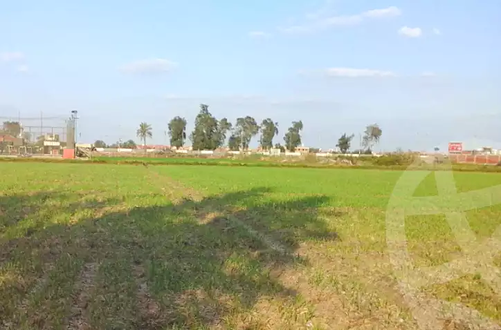 https://aqarmap.com.eg/en/listing/7011066-for-sale-sharqia-abu-hamad-abou-hammad-city