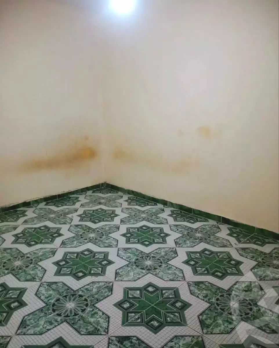 https://aqarmap.com.eg/en/listing/7012598-for-rent-alexandria-sydy-bshr-sydy-bshr-bhry
