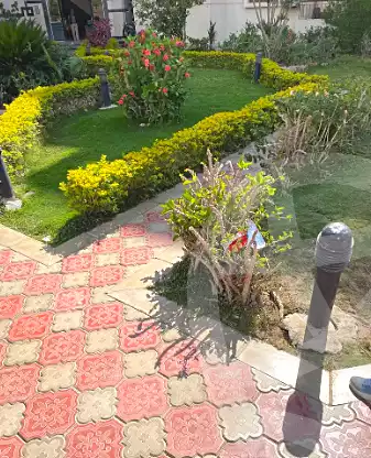 https://aqarmap.com.eg/ar/listing/7018780-for-sale-cairo-el-maadi-zahraa-el-maadi-tenth-neighborhood