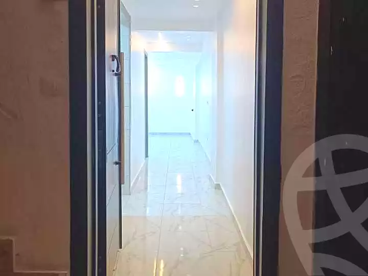https://aqarmap.com.eg/en/listing/7019542-for-rent-cairo-manial