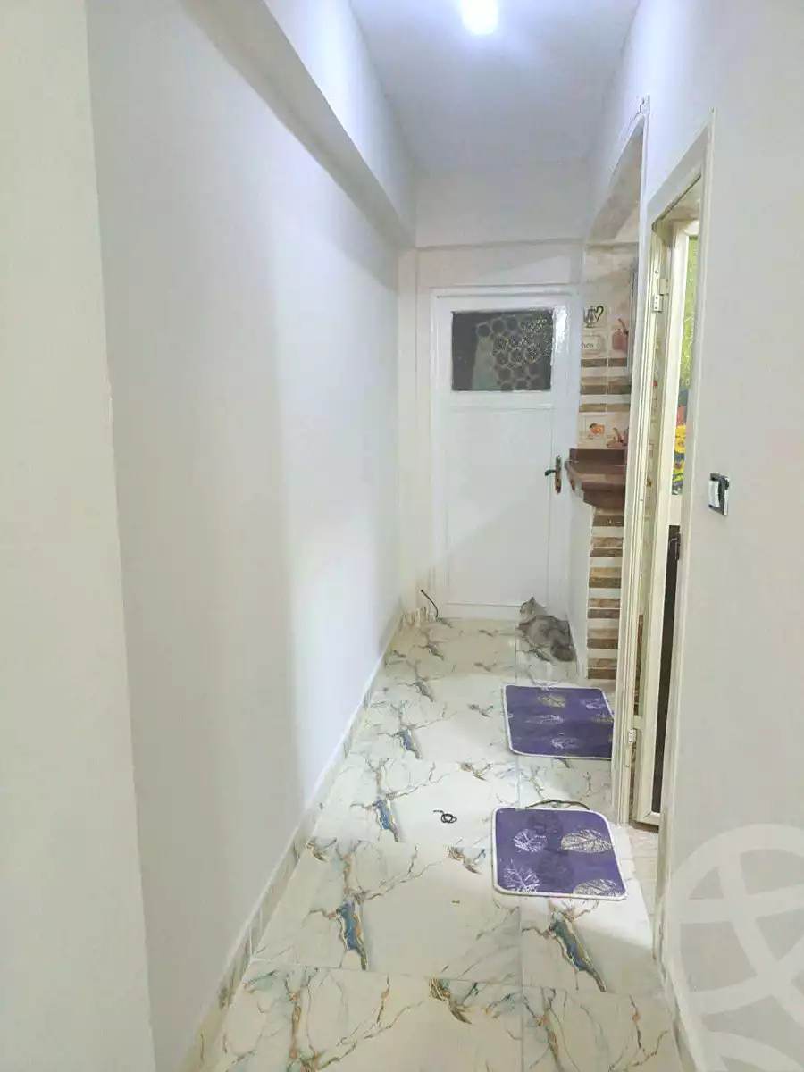 https://aqarmap.com.eg/en/listing/7019642-for-sale-alexandria-al-agamy-lbytsh-saad-zaghloul-st