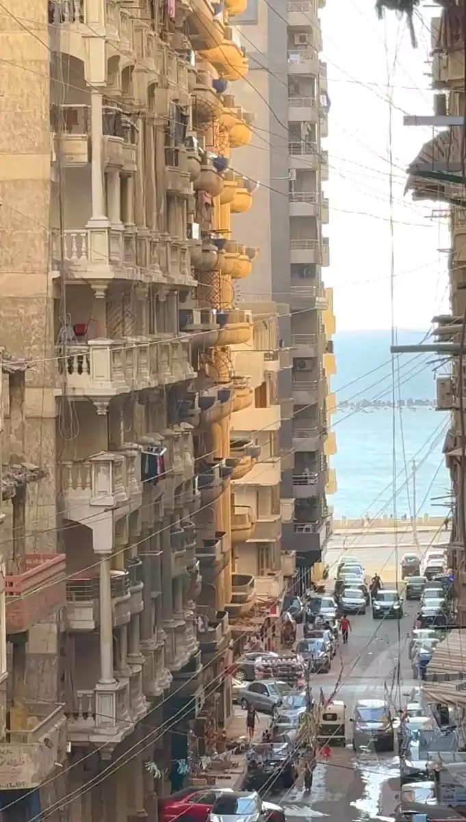 https://aqarmap.com.eg/en/listing/7020436-for-sale-alexandria-sydy-bshr-sydy-bshr-bhry-street-15