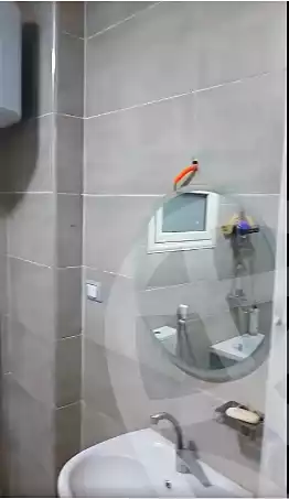 https://aqarmap.com.eg/ar/listing/7022104-for-sale-cairo-ain-shams-ain-shams-el-sharkia-shr-brhym-bd-lrzq