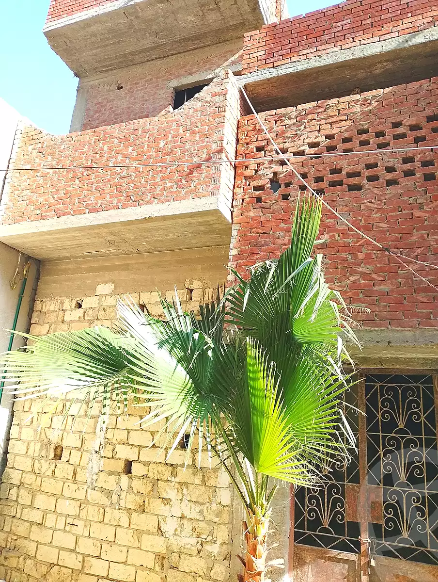 https://aqarmap.com.eg/ar/listing/7024405-for-sale-alexandria-abu-talat