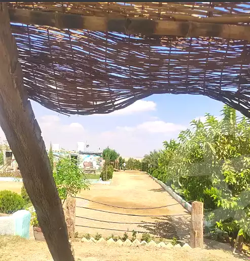 https://aqarmap.com.eg/ar/listing/7025750-for-sale-el-fayoum-asyut-rd