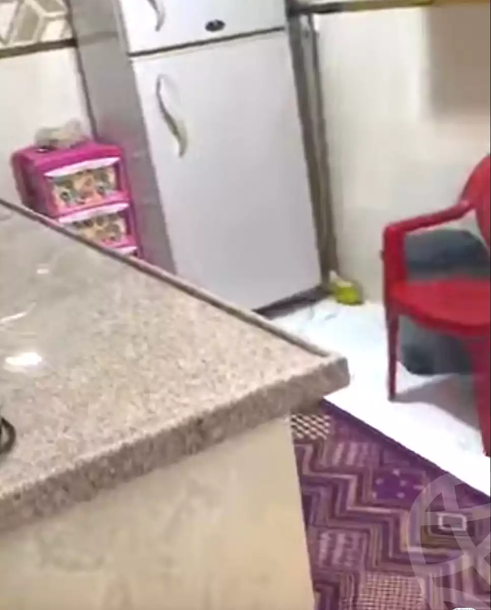 https://aqarmap.com.eg/en/listing/7025854-for-sale-cairo-ain-shams-ahmed-esmat-st