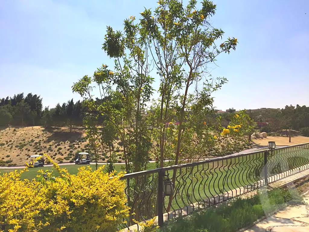 https://aqarmap.com.eg/en/listing/7025898-for-sale-cairo-new-cairo-compounds-mirage-city