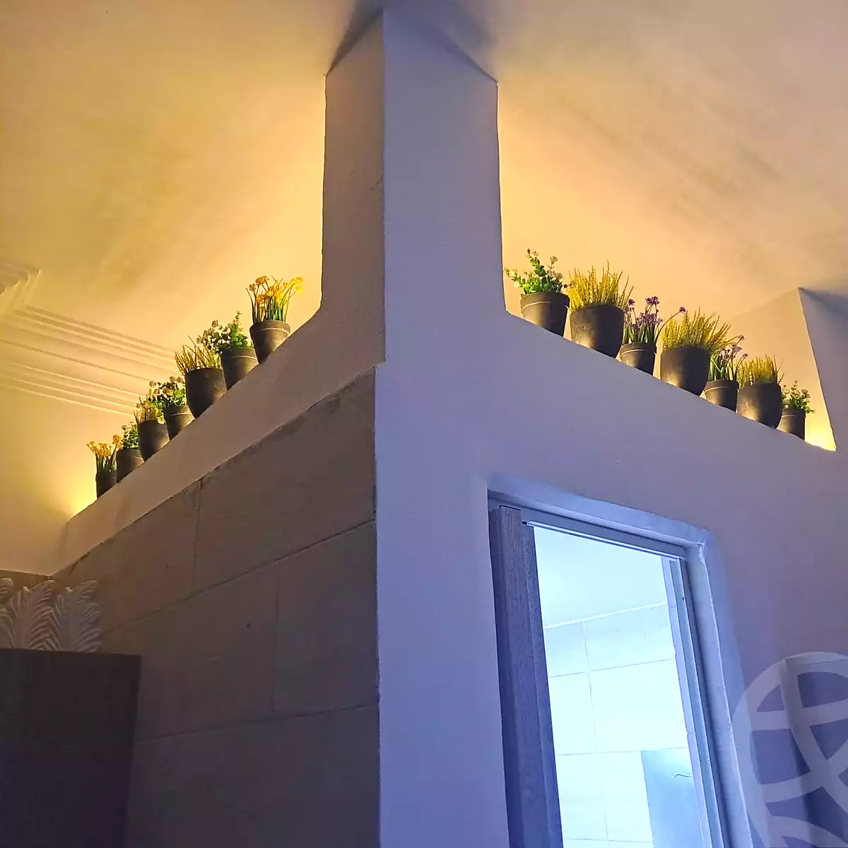 https://aqarmap.com.eg/ar/listing/7033341-for-rent-cairo-new-cairo-ganob-el-akadamiya-south-academy-g-mostafa-amin-st
