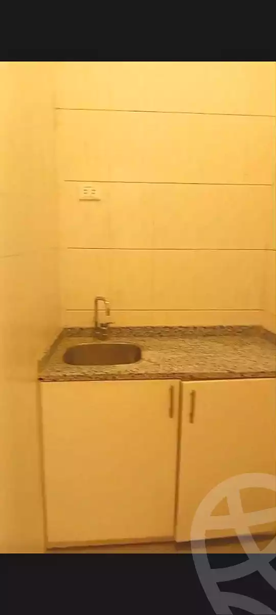 https://aqarmap.com.eg/en/listing/7035818-for-rent-cairo-downtown