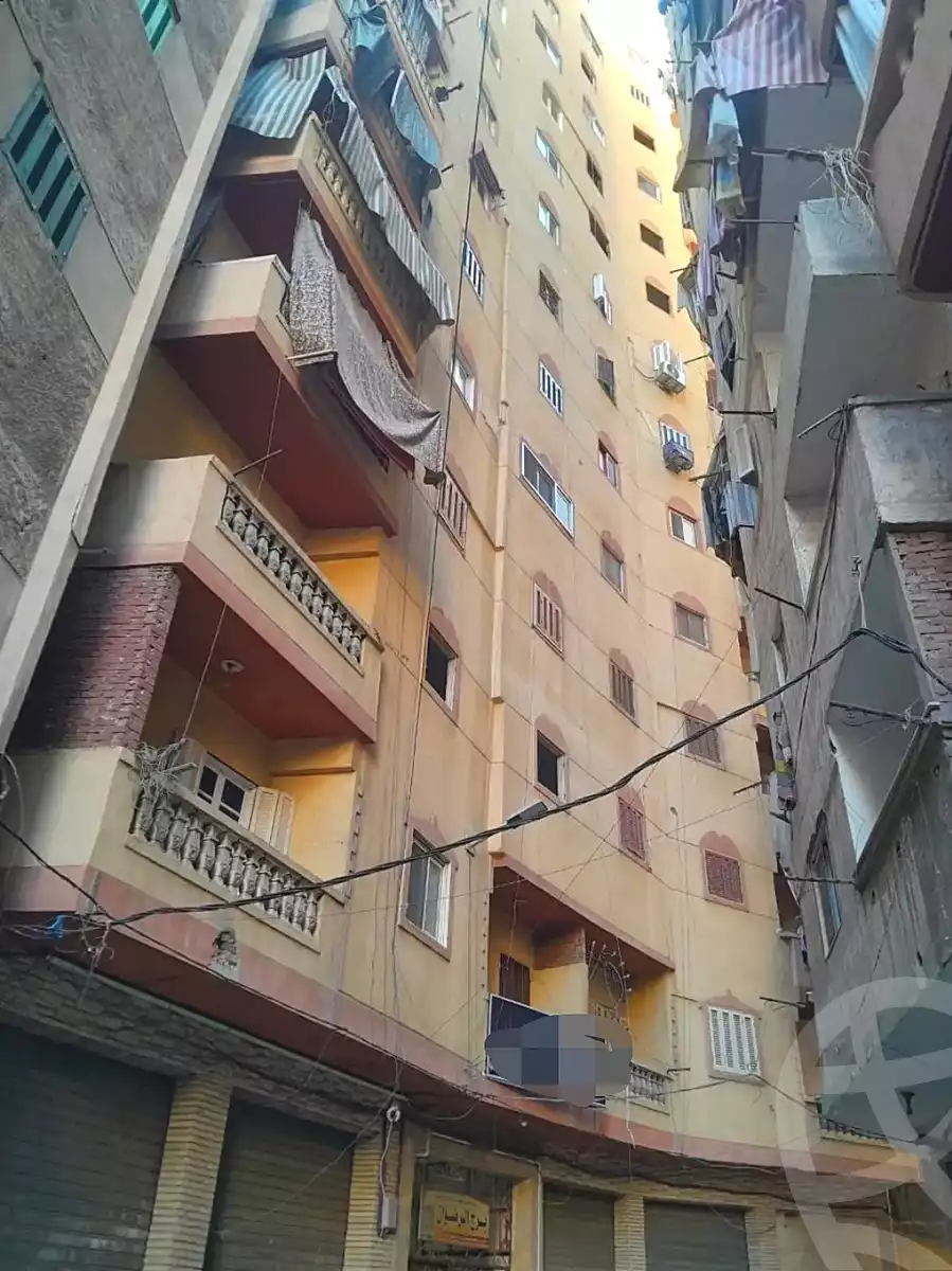 https://aqarmap.com.eg/en/listing/7037426-for-sale-alexandria-lsywf