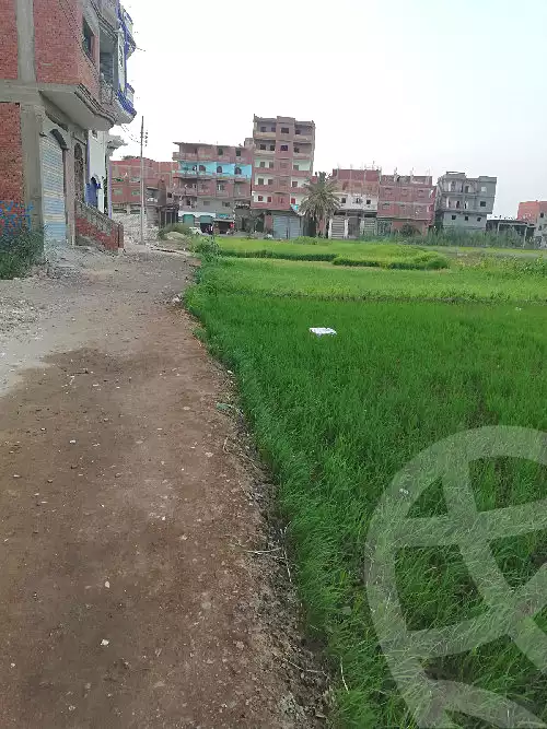 https://aqarmap.com.eg/ar/listing/7036967-for-sale-kafr-el-sheikh-metoubes-mutubas-city