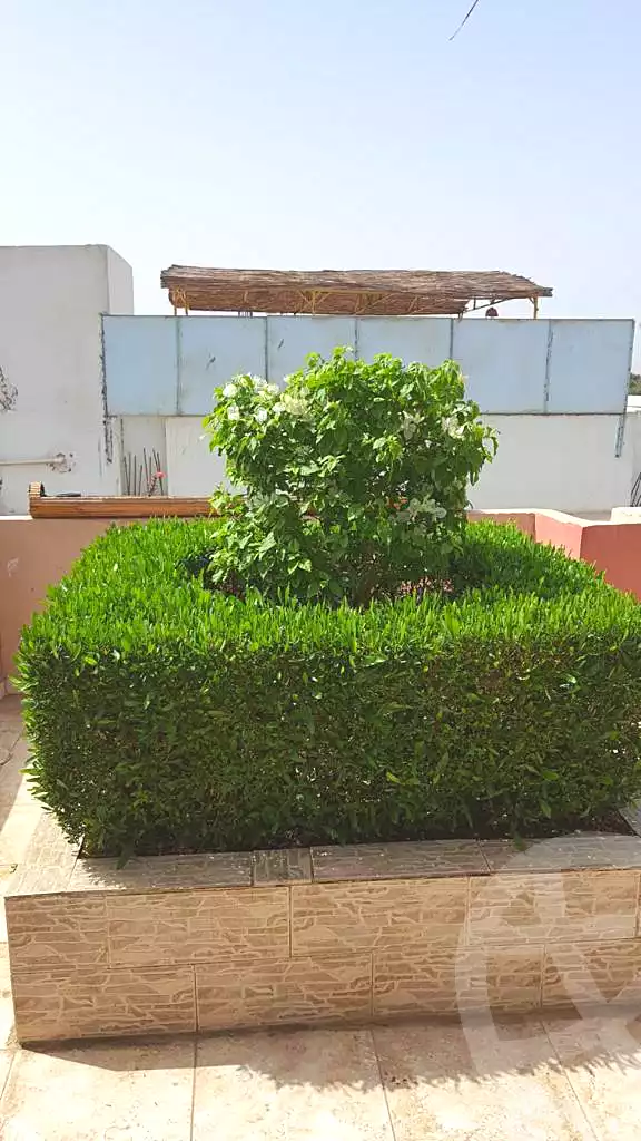 https://aqarmap.com.eg/ar/listing/7041346-for-rent-luxor-luxor-city-el-awameya