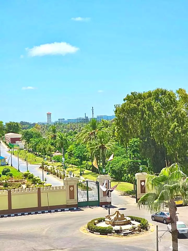 https://aqarmap.com.eg/ar/listing/7041445-for-sale-alexandria-al-mamoura-lm-mwr-lshty-el-nasr-st