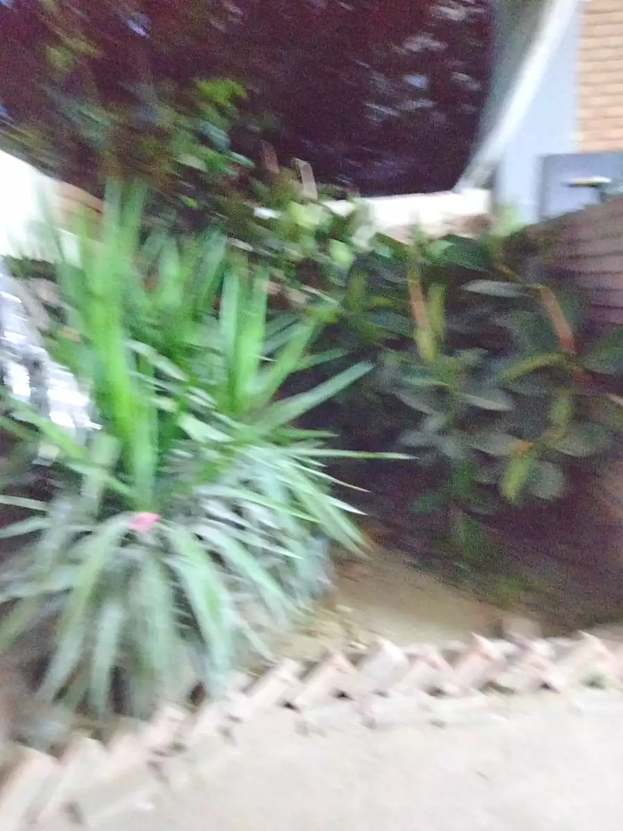 https://aqarmap.com.eg/ar/listing/7041635-for-sale-alexandria-al-agamy-el-hanouvel-al-asdakaa-st