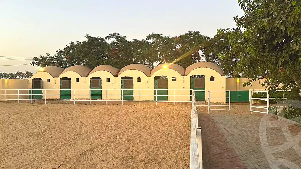 https://aqarmap.com.eg/ar/listing/7043655-for-sale-cairo-el-mansuriyyah-el-saliba