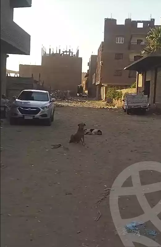 https://aqarmap.com.eg/ar/listing/7045884-for-sale-cairo-el-omraneya