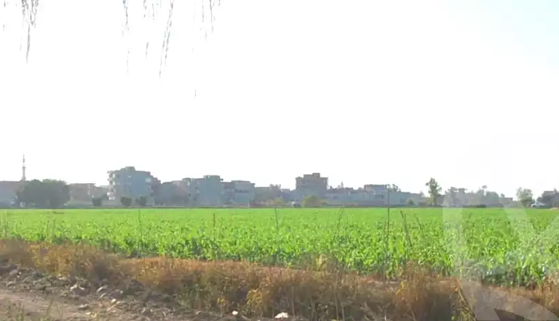 https://aqarmap.com.eg/ar/listing/7049200-for-sale-dakahlia-dekernes-kafr-abo-naser