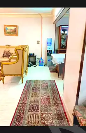 https://aqarmap.com.eg/ar/listing/7051879-for-sale-cairo-shoubra-jzyr-bdrn