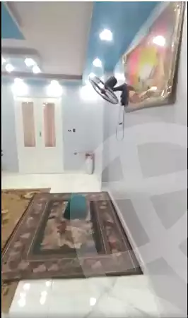 https://aqarmap.com.eg/en/listing/7052184-for-sale-cairo-ain-shams-jsr-lswys