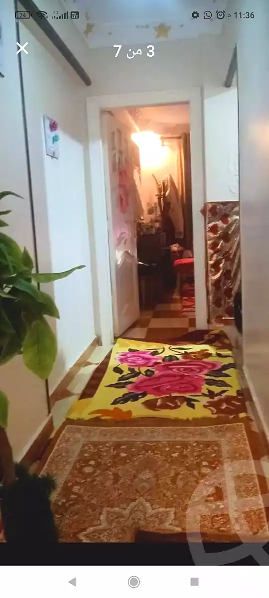 https://aqarmap.com.eg/ar/listing/7052976-for-sale-alexandria-al-agamy-el-hanouvel-el-kholafaa-el-rashdeen-st
