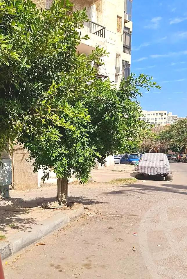 https://aqarmap.com.eg/ar/listing/7054482-for-sale-alexandria-smouha-tqsym-lqdh