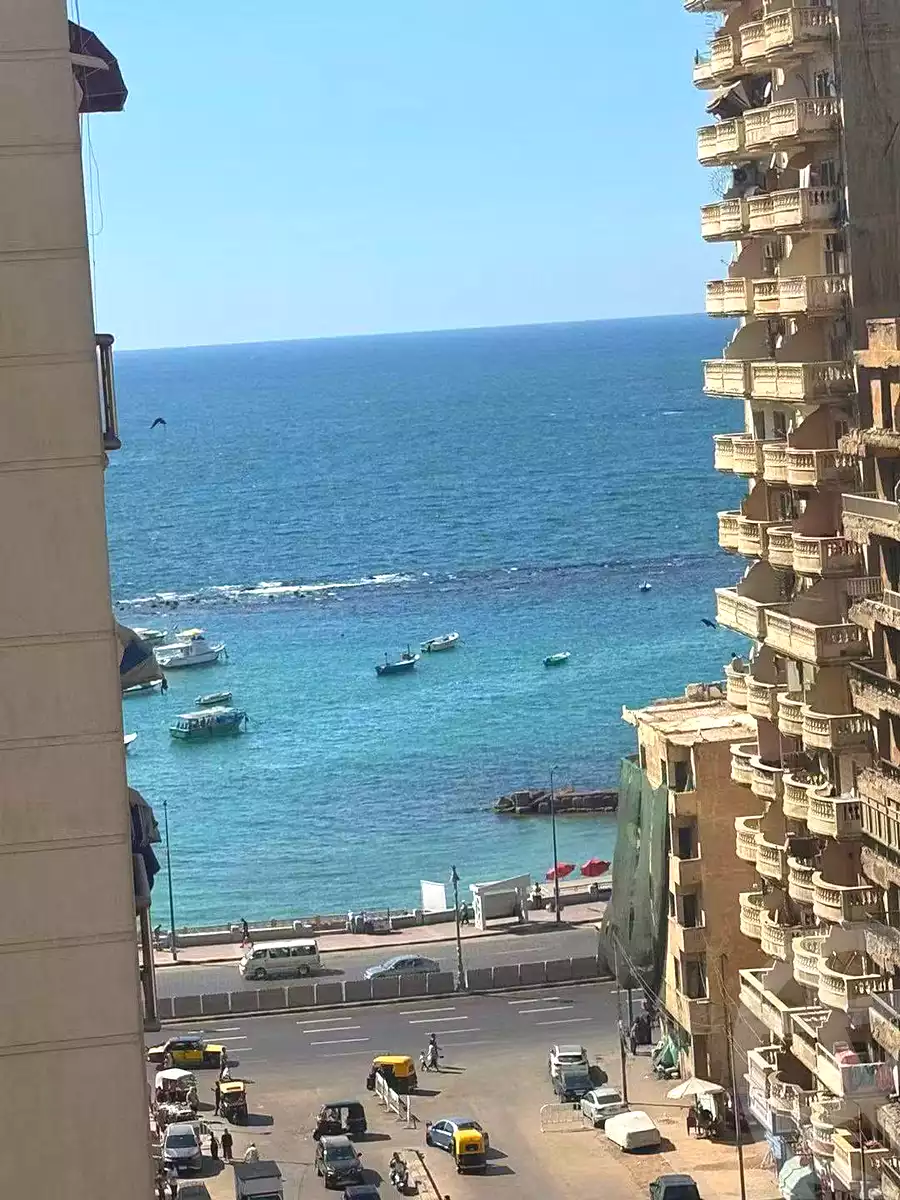 https://aqarmap.com.eg/ar/listing/7057666-for-sale-alexandria-miami-iskandar-ibrahim-st