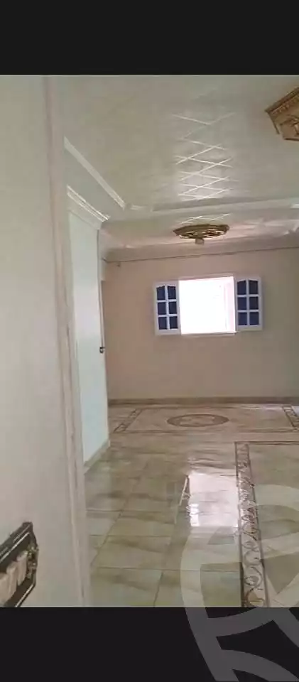 https://aqarmap.com.eg/ar/listing/7058482-for-rent-alexandria-miami-mahmoud-el-isawy-st