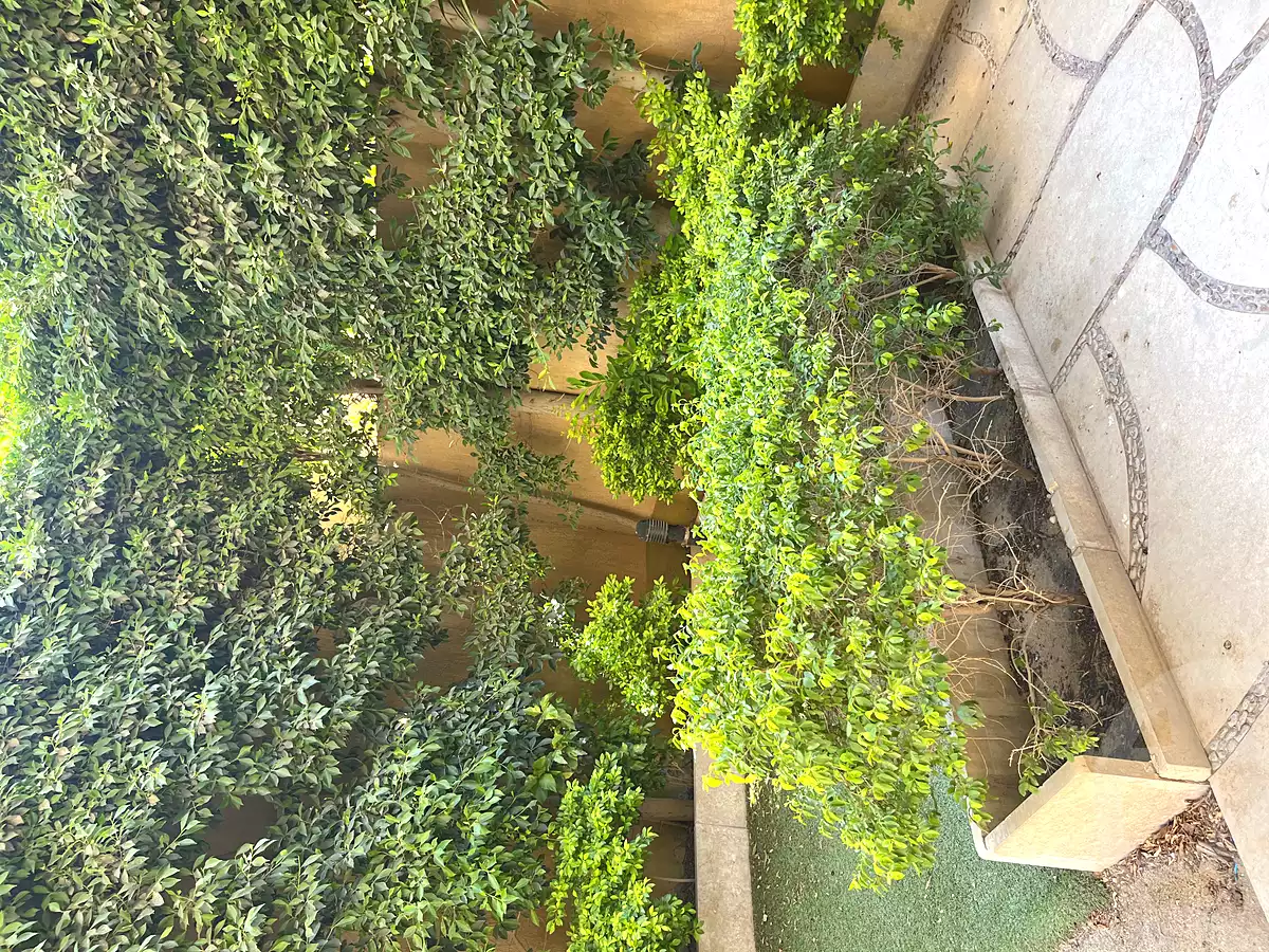 https://aqarmap.com.eg/ar/listing/7060421-for-sale-cairo-new-cairo-first-settlement-neighbourhood-5-ryad-el-sonbati-st