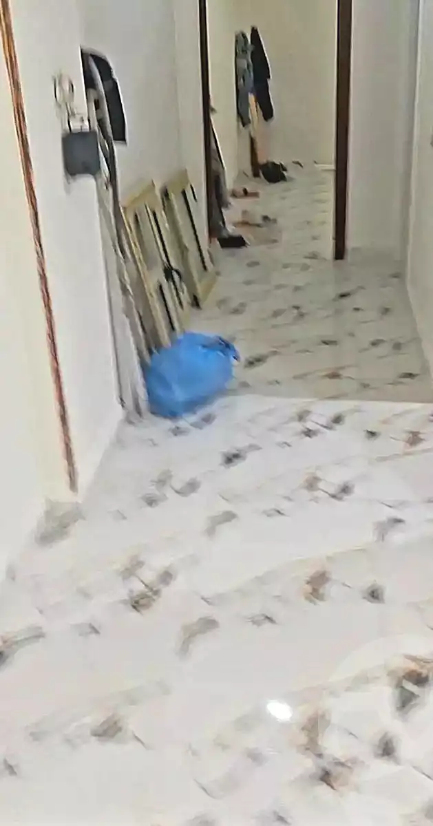 https://aqarmap.com.eg/ar/listing/7064508-for-rent-alexandria-el-asafra-l-sfr-qbly