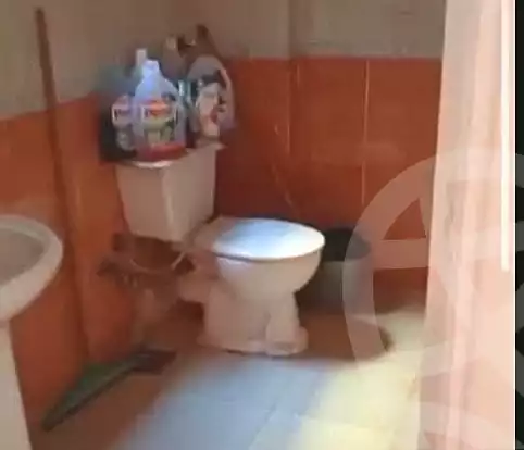 https://aqarmap.com.eg/ar/listing/7065716-for-sale-alexandria-lsywf-shamaa