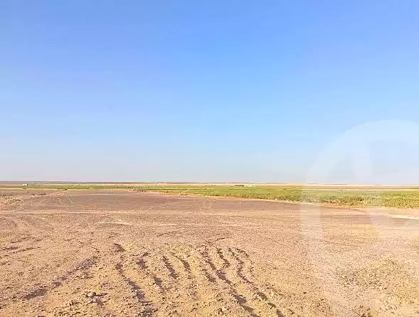 https://aqarmap.com.eg/ar/listing/7066240-for-sale-el-minia-samalut-ezbet-hamad-abu-zeyd