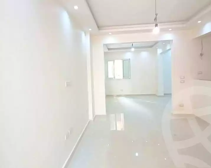 https://aqarmap.com.eg/en/listing/7067291-for-sale-alexandria-bolekly