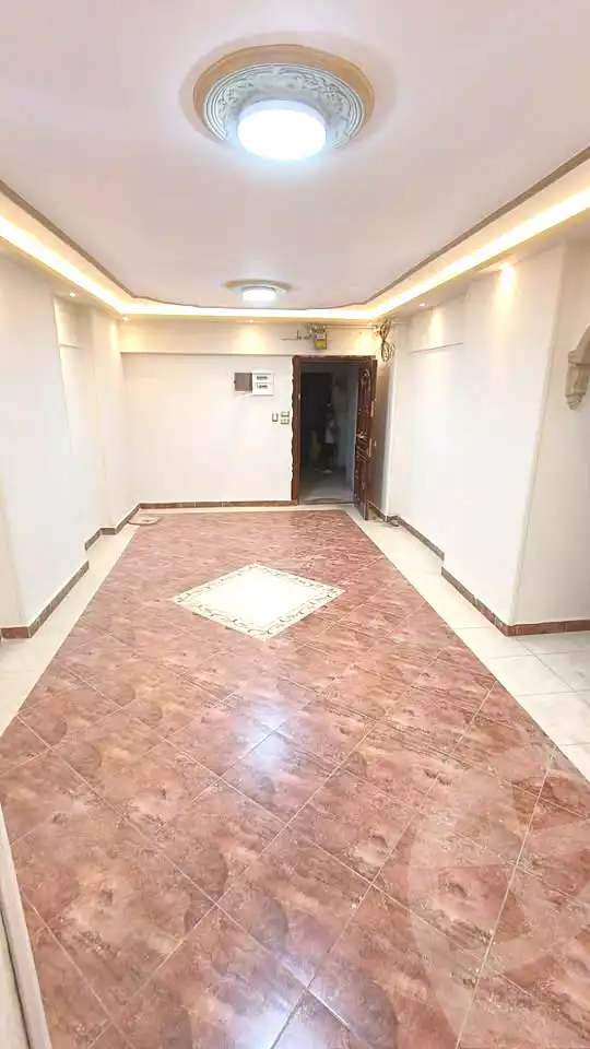 https://aqarmap.com.eg/ar/listing/7067299-for-sale-alexandria-lsywf-el-falki