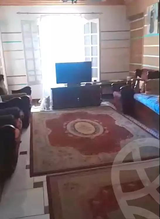 https://aqarmap.com.eg/ar/listing/7067966-for-sale-alexandria-sydy-bshr-sydy-bshr-bhry