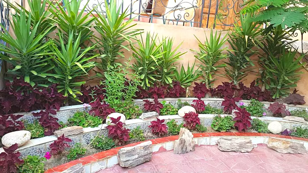 شقة بـ٣ غرف نوم في Continental Gardens، صورة ٤ من ١٣