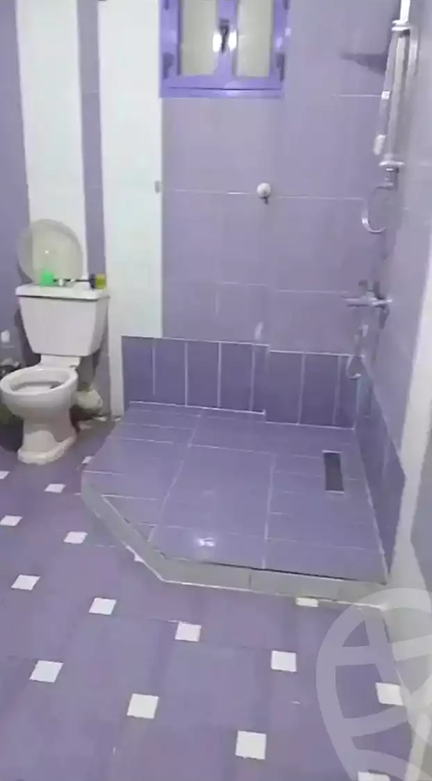 https://aqarmap.com.eg/ar/listing/7074113-for-rent-alexandria-lsywf-el-falki