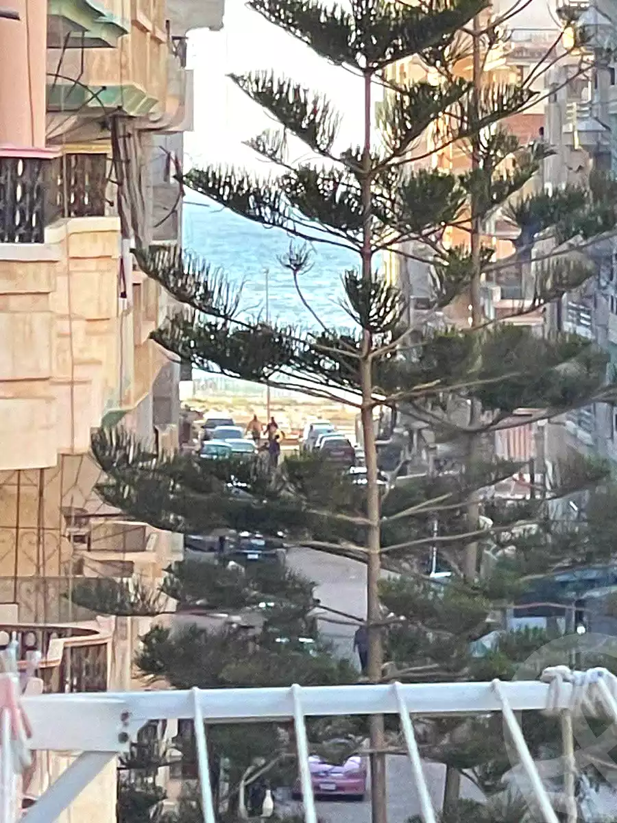 https://aqarmap.com.eg/ar/listing/7075076-for-sale-alexandria-al-agamy-shataa-el-nakheel