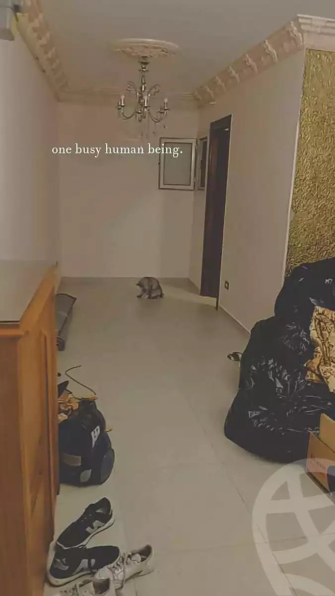 https://aqarmap.com.eg/ar/listing/7076985-for-rent-alexandria-sydy-bshr-sydy-bshr-bhry