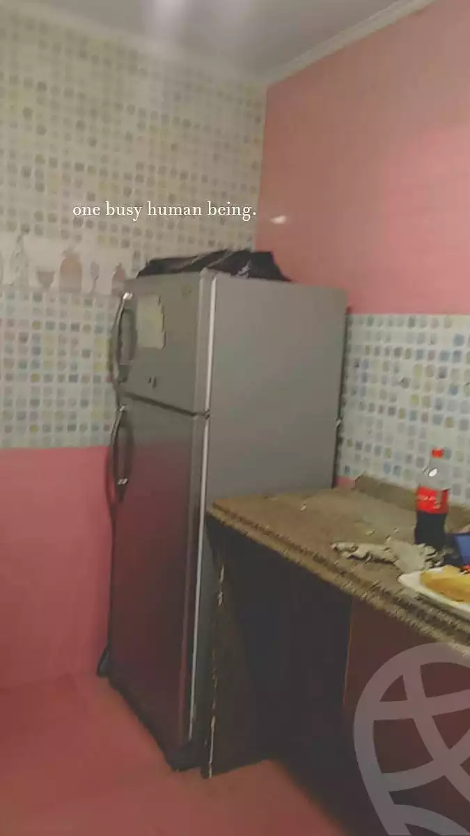 https://aqarmap.com.eg/ar/listing/7076985-for-rent-alexandria-sydy-bshr-sydy-bshr-bhry
