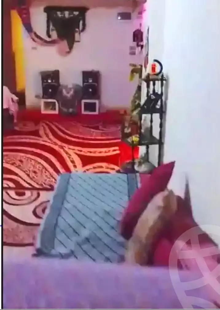 https://aqarmap.com.eg/ar/listing/7077422-for-rent-alexandria-sydy-bshr-sydy-bshr-bhry-shr-mhmwd-l-yswy