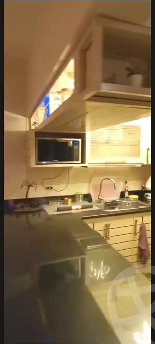 https://aqarmap.com.eg/ar/listing/7082442-for-rent-cairo-dokki-shareaa-el-doqi