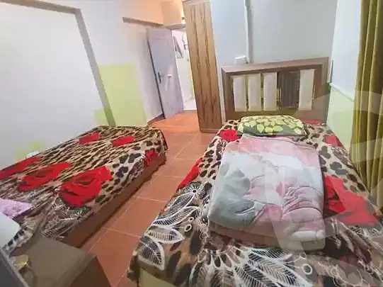 https://aqarmap.com.eg/en/listing/7084080-for-rent-cairo-nasr-city